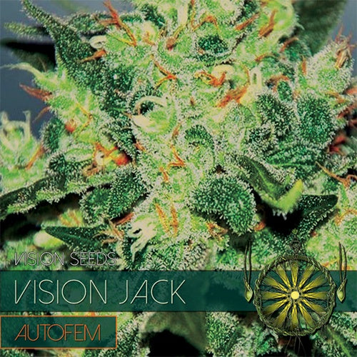 Vision Seeds Jack Auto (10 FEM)