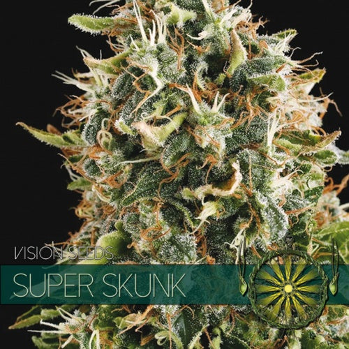 Vision Seeds Super Skunk (10 FEM)