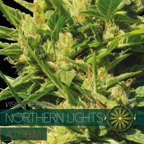 Vision Seeds Northern Lights Auto (3 FEM)